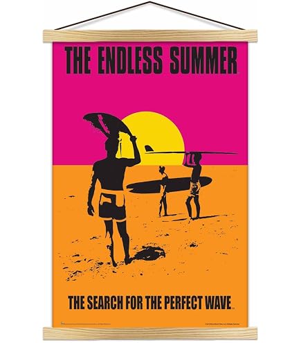 Amazon.com: The Endless Summer - Movie Poster - Officially